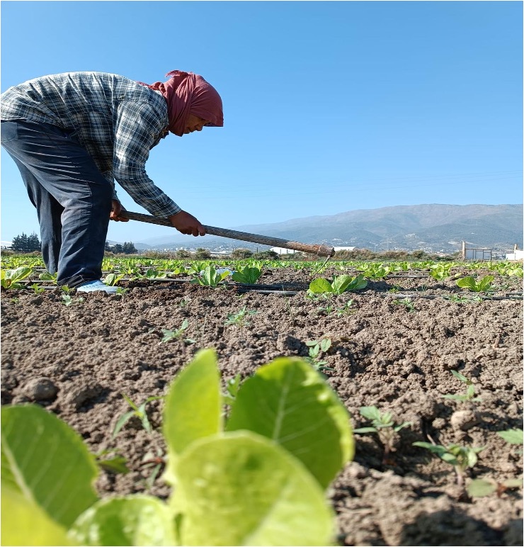 Kooperatif Üyesi Fatma