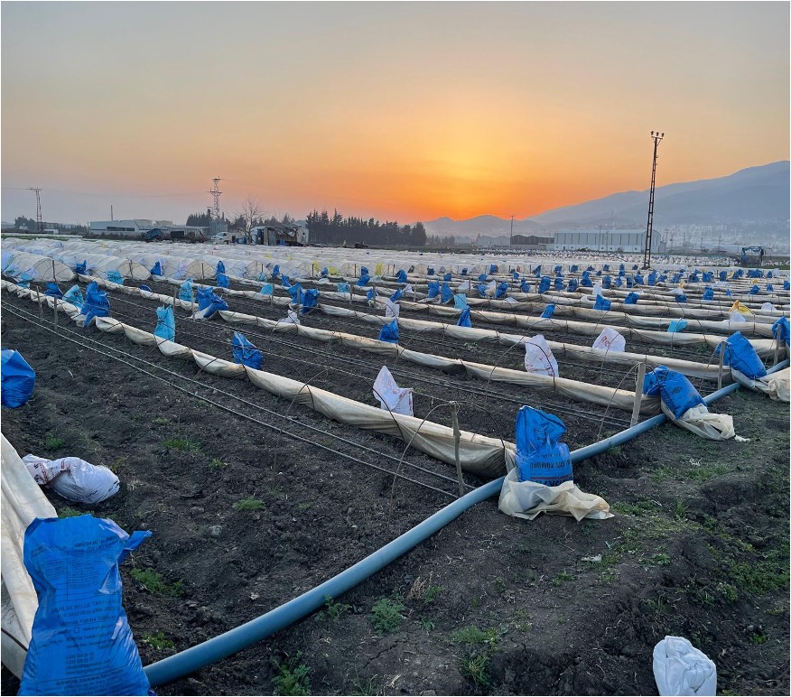 Kooperatif Üyesi Fatma